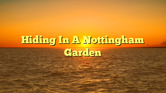 Hiding In A Nottingham Garden