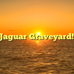 Jaguar Graveyard!