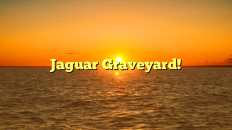 Jaguar Graveyard!