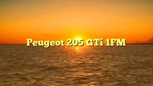 Peugeot 205 GTi 1FM