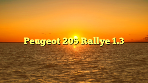 Peugeot 205 Rallye 1.3