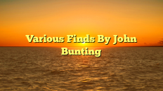 Various Finds By John Bunting