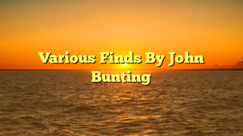 Various Finds By John Bunting