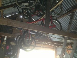 1079352_10200925178904006_906157024_n