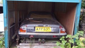 1376288_10201817791380168_355570345_n