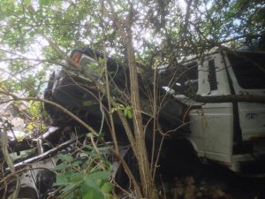 1380883_193041907549340_2112366622_n