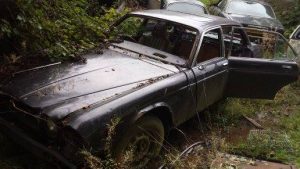 1418174_10201817791300166_248763597_n