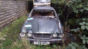 1420235_10201817791340167_642725707_n