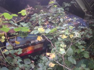 1422791_193041900882674_1797644889_n