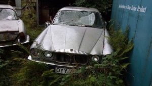 974540_10201817791260165_233972881_n